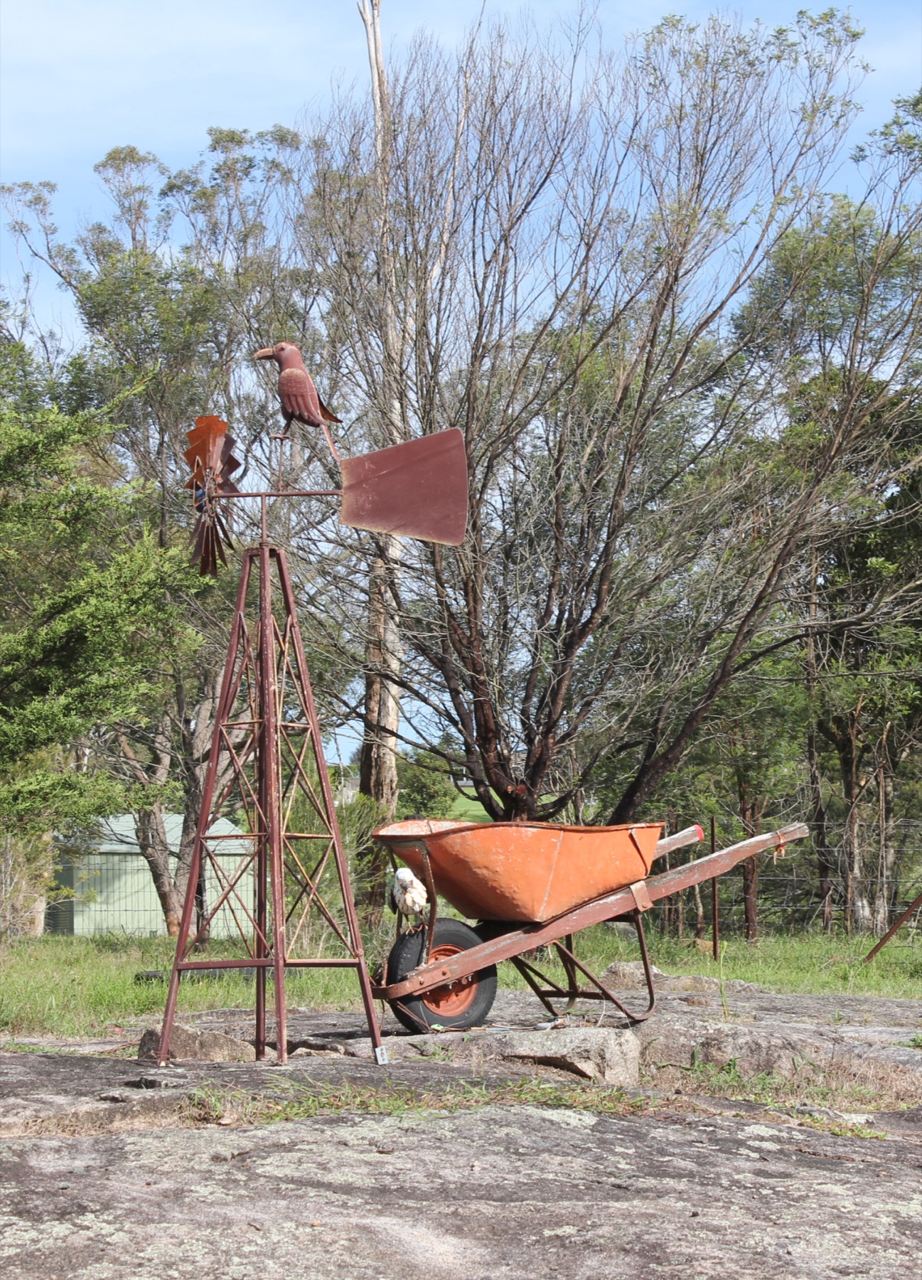 A chicken perched on an orange wheelbarrow beside a garden windmill