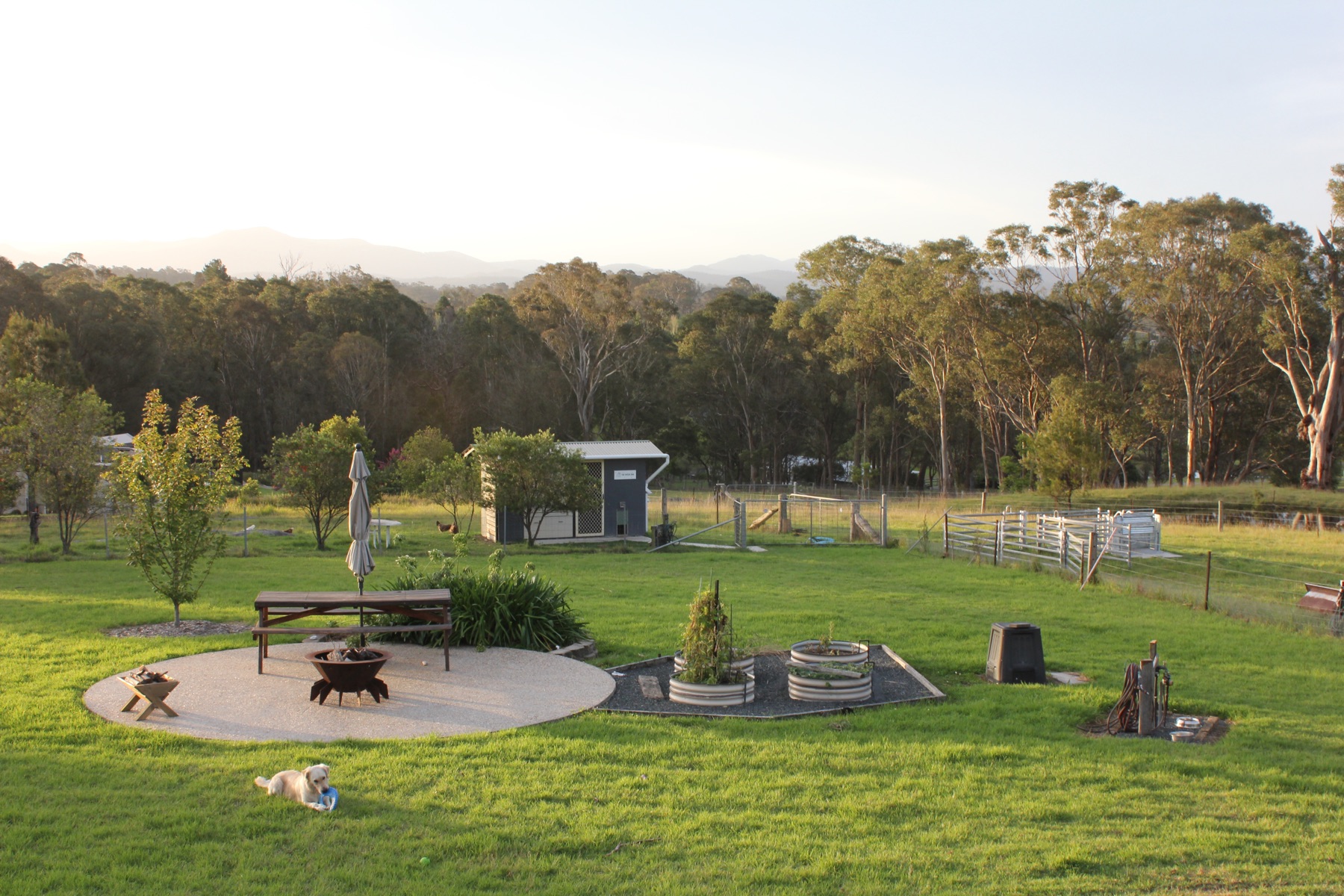 Fire pit and picnic table on the lawn, with a dog lying nearby
