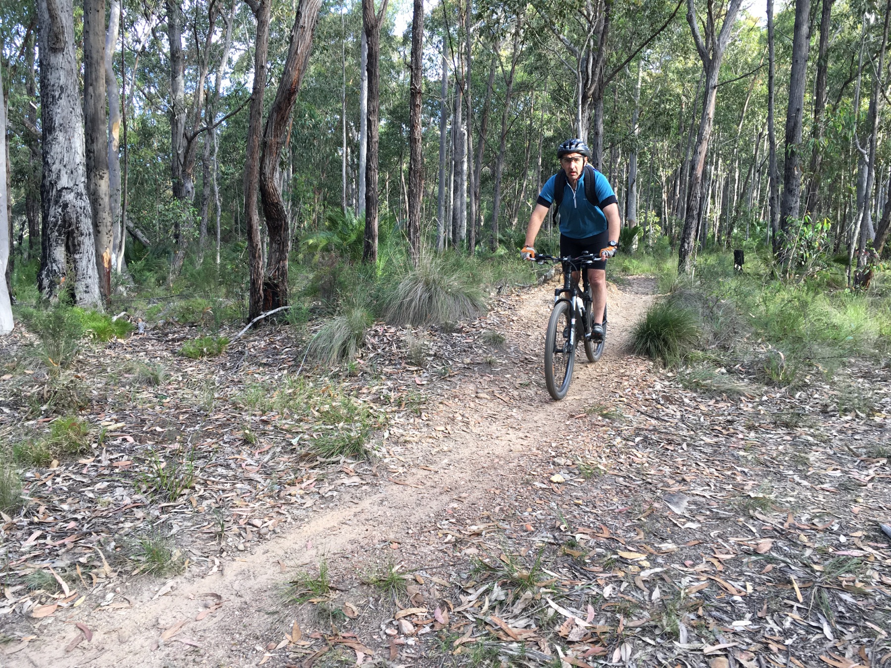 A rider on a mountain bike on a forest singletrack near the South Coast
